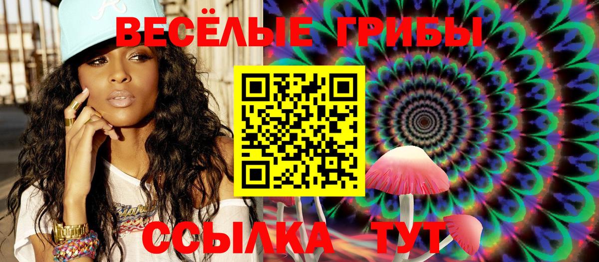 Каменск-Уральский  Псилоцибиновые грибы мицелий  Вход с VPN 
