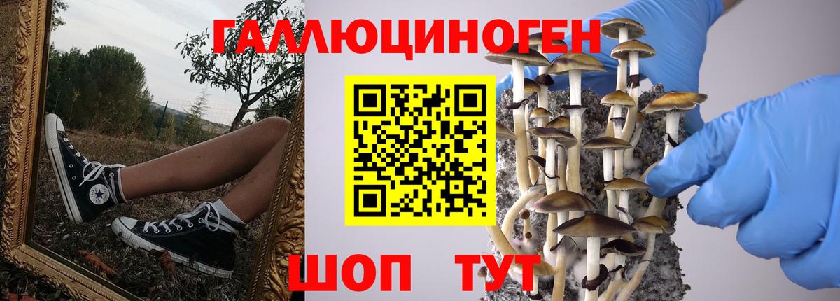 Галлюциногенные грибы Cubensis Каменск-Уральский